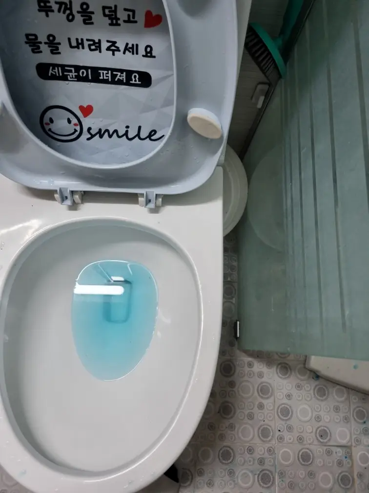 변기 막힘 5